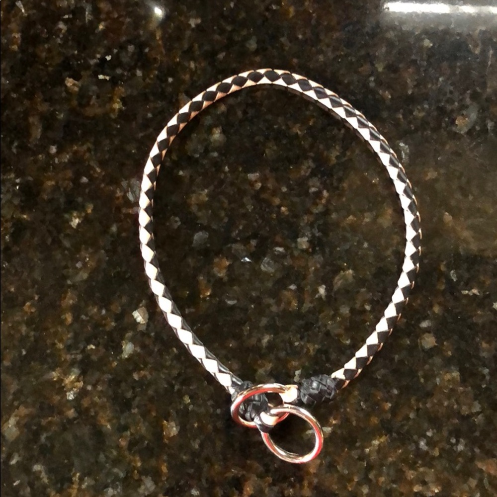 Braided leather show dog collar